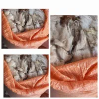 پشم گوسفند  کیلو ۲۰ هزار تومان