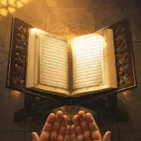 مجهز دعهانویس بلدیمم مععجزه می‌کند