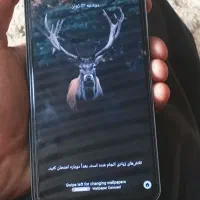 گوشی ریلمی نوت 50|موبایل|سورک, |دیوار