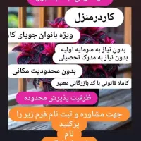 جذب نیرو جهت کار در منزل