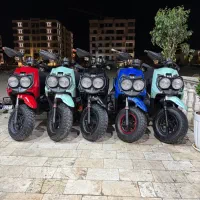 فروش انواع سافاری