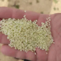 نیم دانه کامفیروزی درجه یک تمیز