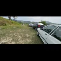 زمین باغی|فروش زمین و ملک کلنگی|سیاهکل, |دیوار