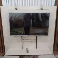 زیر تلوزیونی