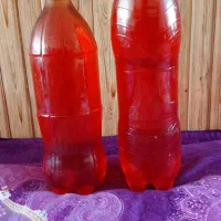 آبغوره تازه درجه 1