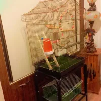 فروش قفس پرنده
