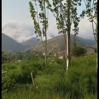 ۲۰۰۰ متر زمین مسکونی( منطقه بکر) جاده چالوس|فروش زمین و ملک کلنگی|آسارا, |دیوار