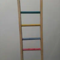 لوازم طوطی سانان