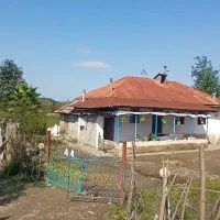 خانه-با-محوطه-جنگلی-ویو-دار