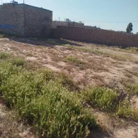 زمین-صدمتری-واقع-درمعداباد7