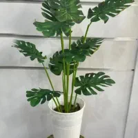 هدیه روز مادر لوستر و گل کنارسالنی زیرقیمت بازار|لوستر و چراغ آویز|یزد, |دیوار