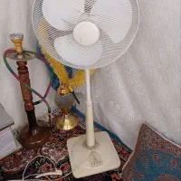پنکه پای بلند سالم سالم