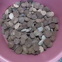 کشک گوسفندی درجه یک