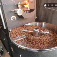 دانه سبز و رست شده قهوه و پودریجات کافه و رستری
