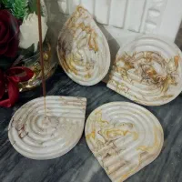 جاعودی شاخه ای