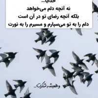 سلام ی نر ابلق سیاه