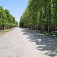 ۴۰۰متر باغچه مهرچین و قجرآباد