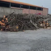 فروش چوب خرد شده