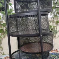 فروش جاسیب زمینی پیاز