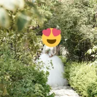 لباس عروس درحد نو|لباس|تهران, صاحب الزمان|دیوار