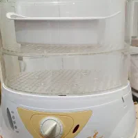 بخار پز|سایر لوازم برقی|کرمانشاه, |دیوار