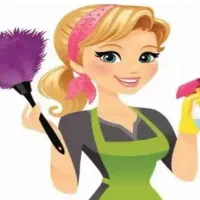 کلیه خدمات نظافت