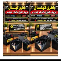 باطری ماشین سبک و سنگین،  ups / قیمت دولتی