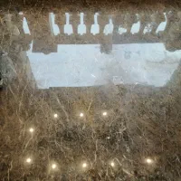 کفسابی و سنگ سابی|خدمات نظافت|تهران, ونک|دیوار