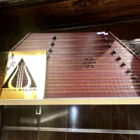 ساز|سازهای بادی|تهران, بهارستان|دیوار