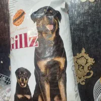 غذا خشک سگ برند گیلز