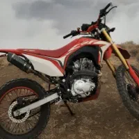 باسل ۲۵۰ وحشی