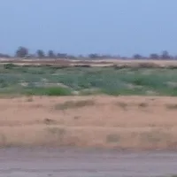 پرس یونجه