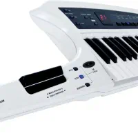 گیو رولند ax synth