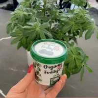 با قرص کود به گل هات زندگی بده