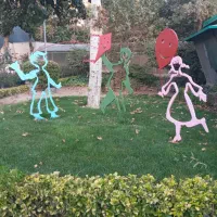 کاربا کودک اختلال اتیسم وبیش فعال