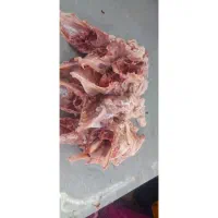 اسکلت و گردن تازه مخصوص غذای سگ