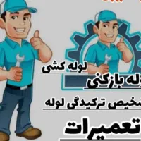 ستارخان طرشت کاشانی فردوس باغ فیض ستاری شهرزیبا