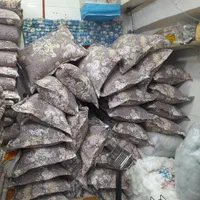 لحافدوزی چگنی