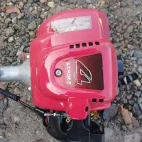 علف چین دوشی