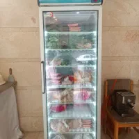 فریزر منجمد ایستاده صفر صفر