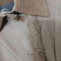 پالتو خارجی استوک|لباس|مشهد, کوشش|دیوار