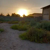 فروش زمین ۳۱۰متر با بر۱۶/امکان ساخت ۲دوباب خانه