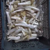 خوردنی