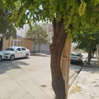 رهن و اجاره منزل مسکونی در کوی پاسداران نور سوم