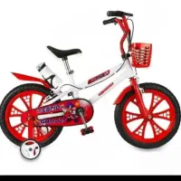 دوچرخه داخل کارتون هست