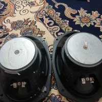 کفش|کیف، کفش، کمربند|سبزوار, امام خمینی (ناوی)|دیوار