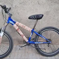 دوچرخه ۲۴|دوچرخه، اسکیت، اسکوتر|تربت‌حیدریه, کلاته توکلی|دیوار