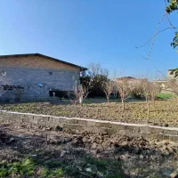 زمین مسکونی سند دار ۲۱۸ متری در جویبار ( پهناب)