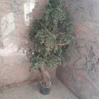 درخت کاج مصنوی