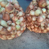 پیاز فروشی